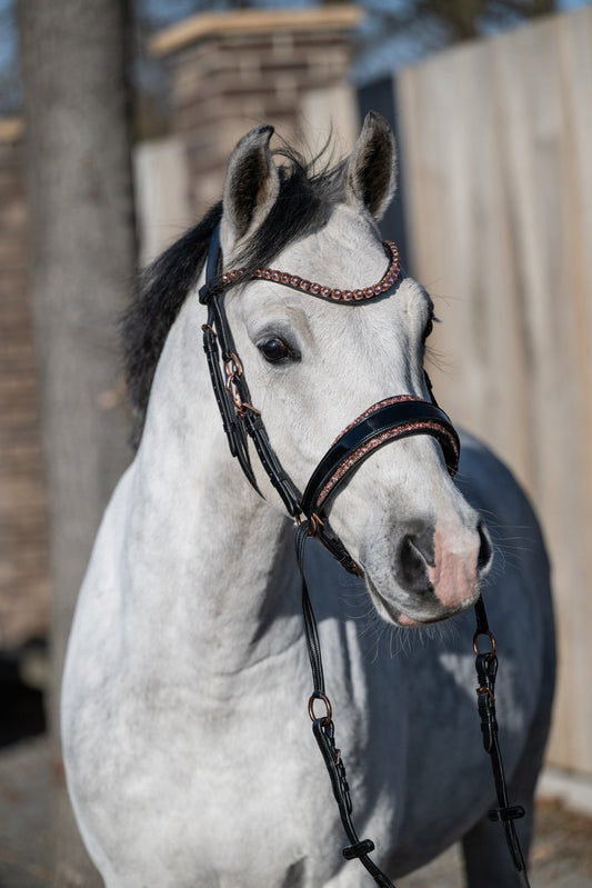 Roségold Editon - Harmony Bridle - gebisslose Trense CR-Harmonyequestrian