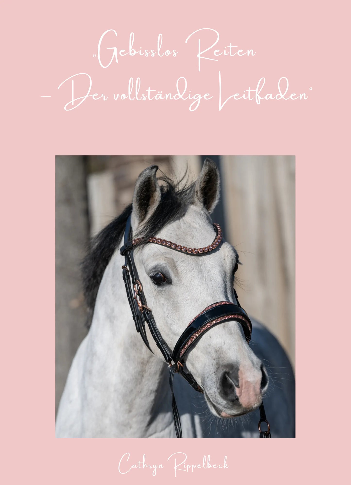 Gebisslos reiten – der vollständige Leitfaden CR-Harmonyequestrian