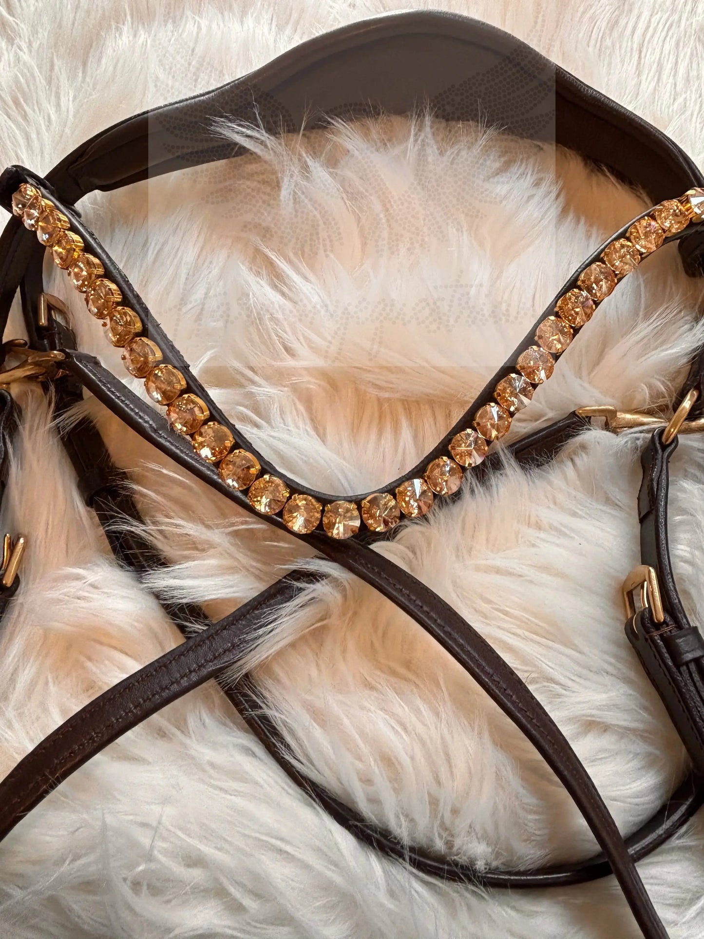 Gold Edition LACK - Harmony Bridle - gebisslose Zäumung CR-Harmonyequestrian