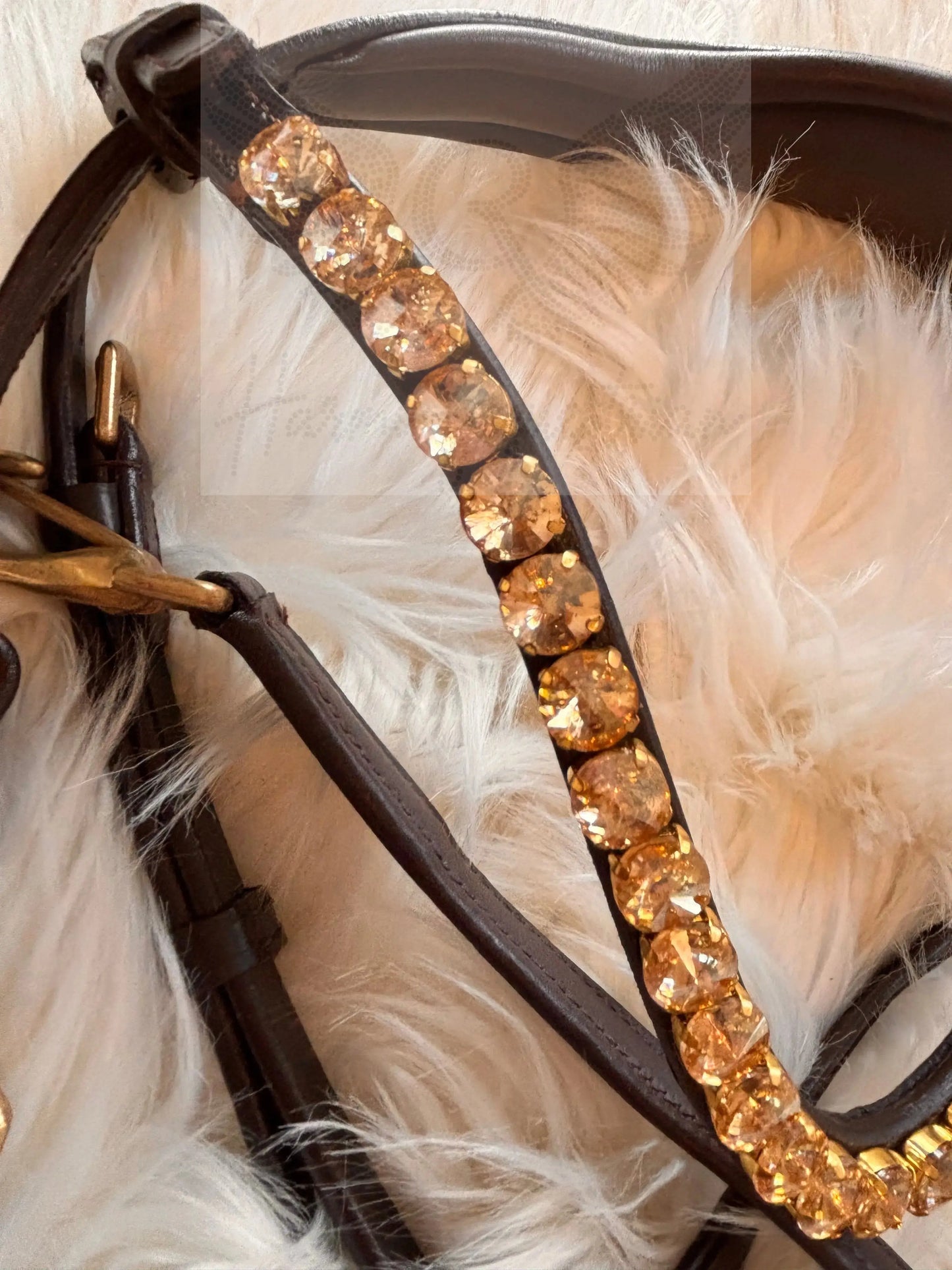Gold Edition LACK - Harmony Bridle - gebisslose Zäumung CR-Harmonyequestrian