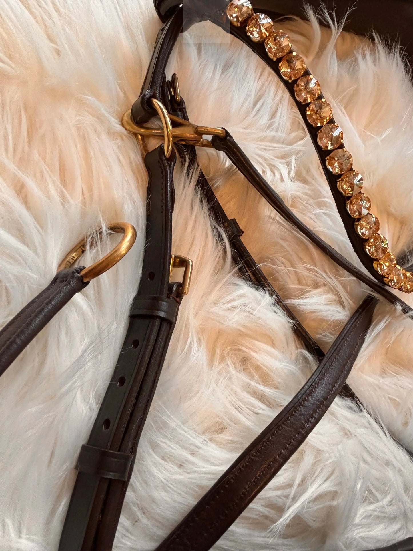 Gold Edition LACK - Harmony Bridle - gebisslose Zäumung CR-Harmonyequestrian