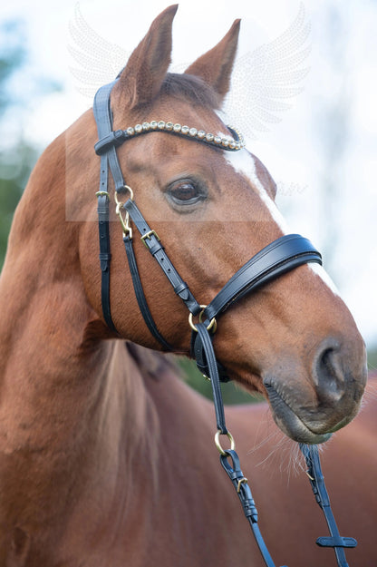 Gold Edition LACK - Harmony Bridle - gebisslose Zäumung CR-Harmonyequestrian