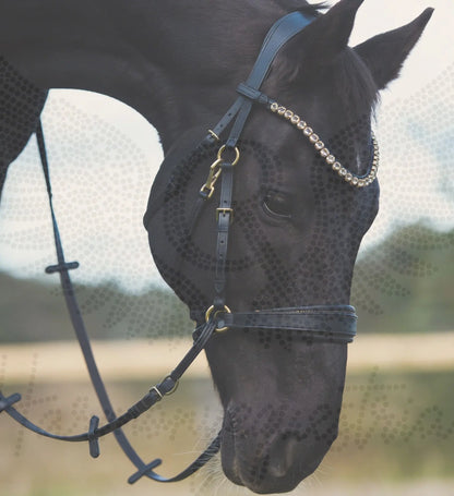 Gold Edition - Harmony Bridle - gebisslose Zäumung CR-Harmonyequestrian 