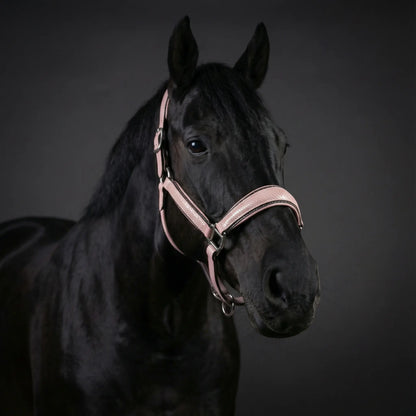 Halfter Baby Lizard CR-Harmonyequestrian