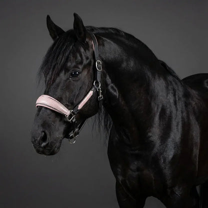 Halfter Baby Lizard CR-Harmonyequestrian