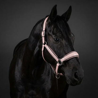 Halfter Baby Lizard CR-Harmonyequestrian