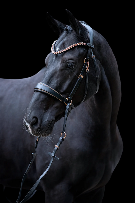 Harmony Bridle Roségold Editon CR-Harmonyequestrian