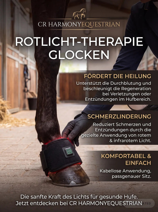LED Therapy Cuff for Hooves – Effective Treatment and Prevention