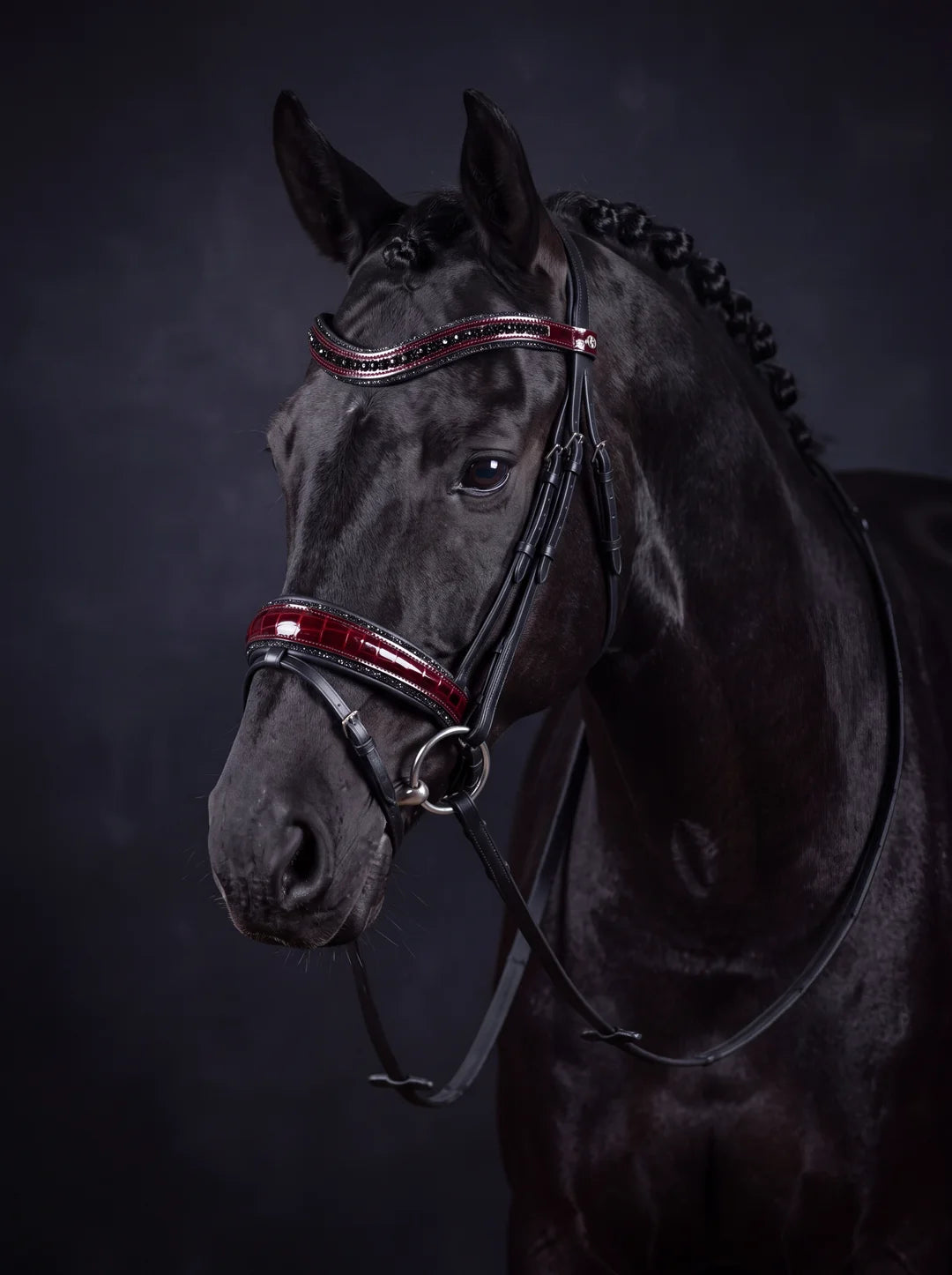 Kroko Bordeaux Trense am Pferd – schwarzes Leder, bordeauxroter Kroko-Lack, schwarze Kristalle