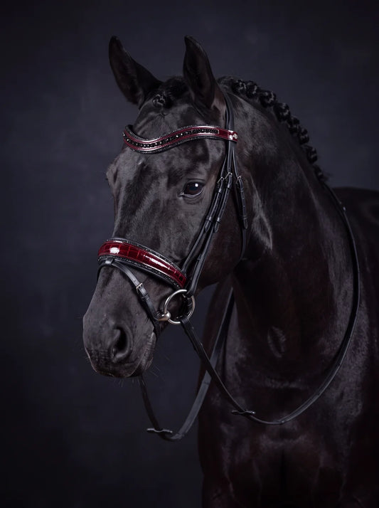 Kroko Bordeaux Trense am Pferd – schwarzes Leder, bordeauxroter Kroko-Lack, schwarze Kristalle