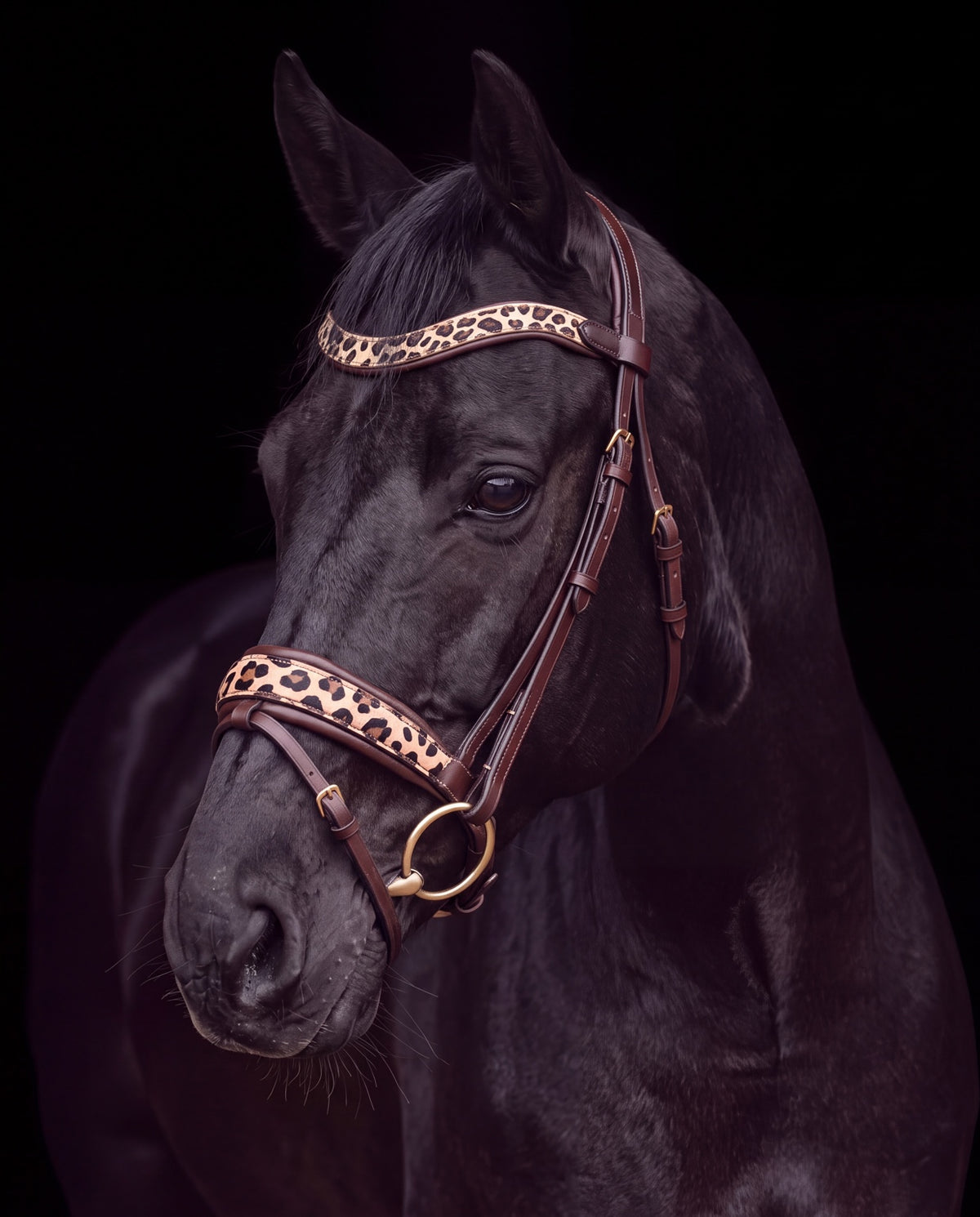 Leo Classic – Trense ohne Glitzer