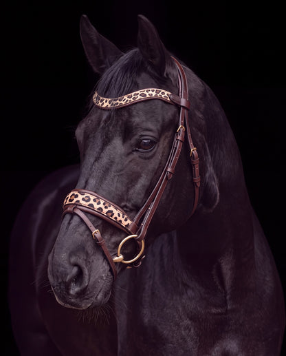 Leo Classic – Trense ohne Glitzer