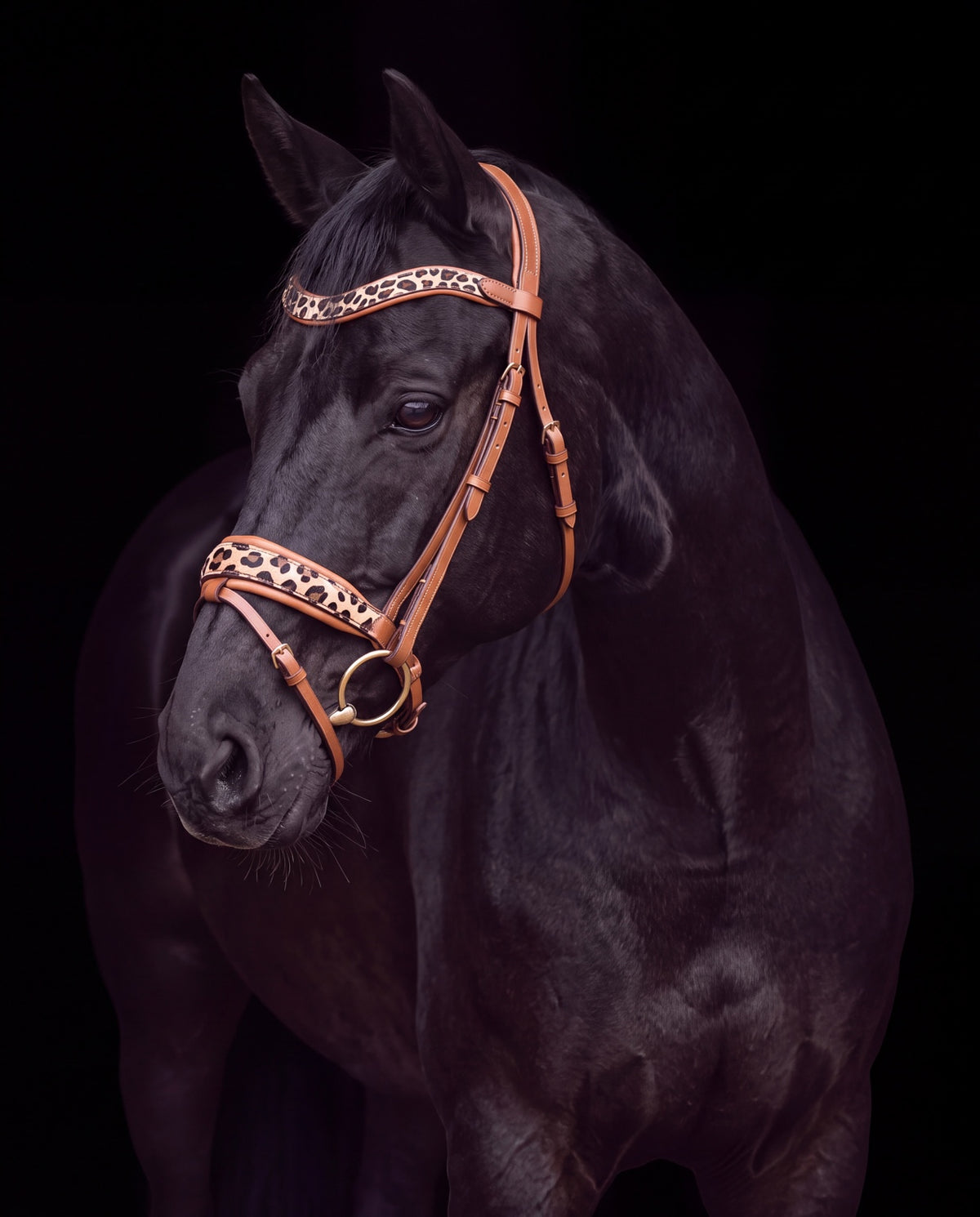 Leo Classic – Trense ohne Glitzer