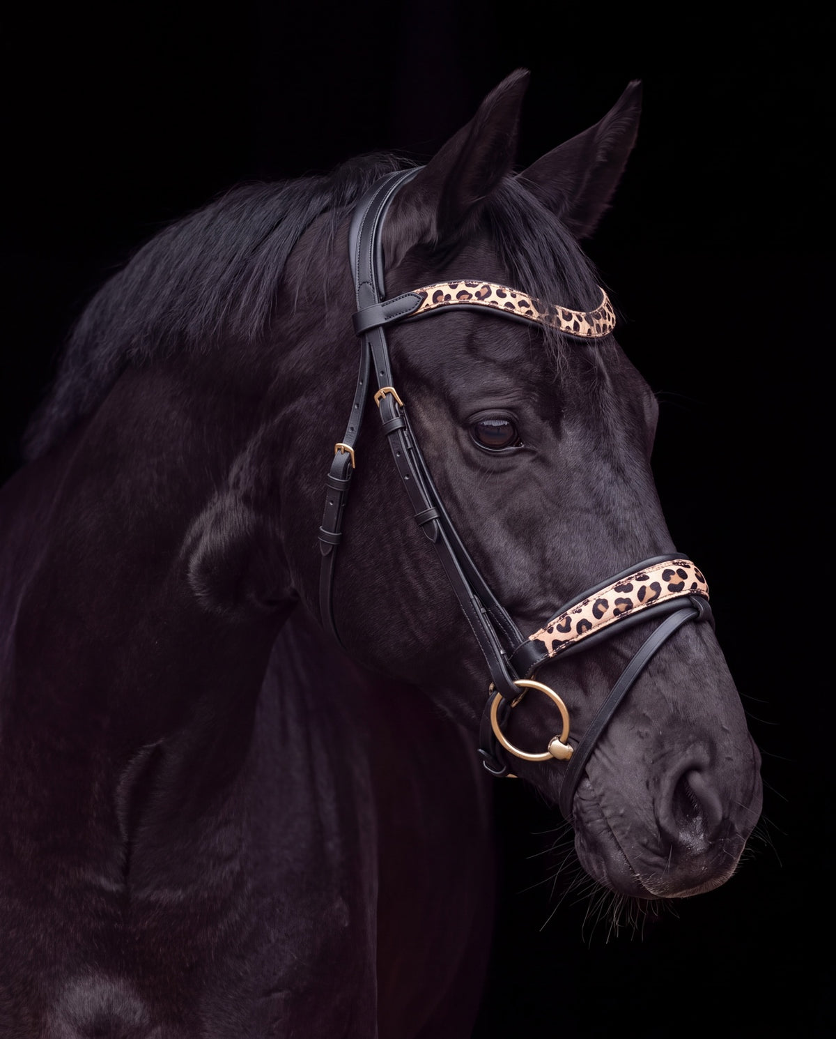 Leo Classic – Trense ohne Glitzer