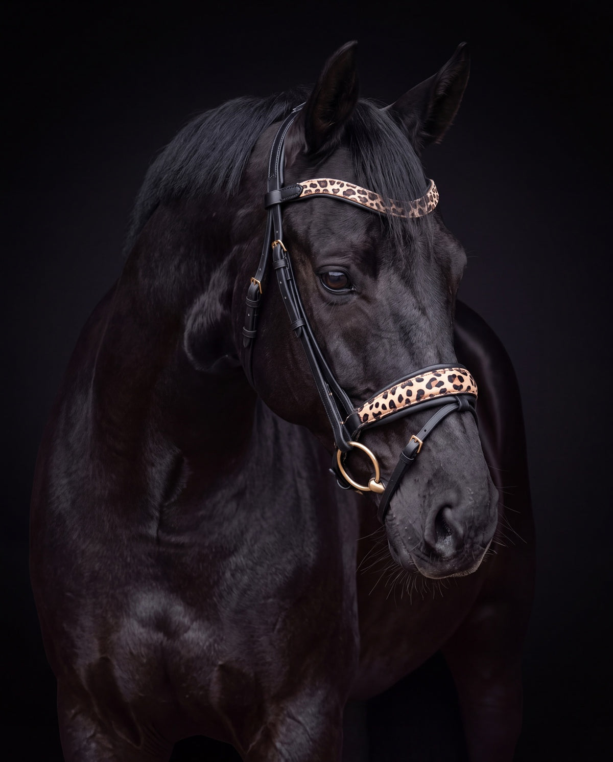 Leo Classic schwarz