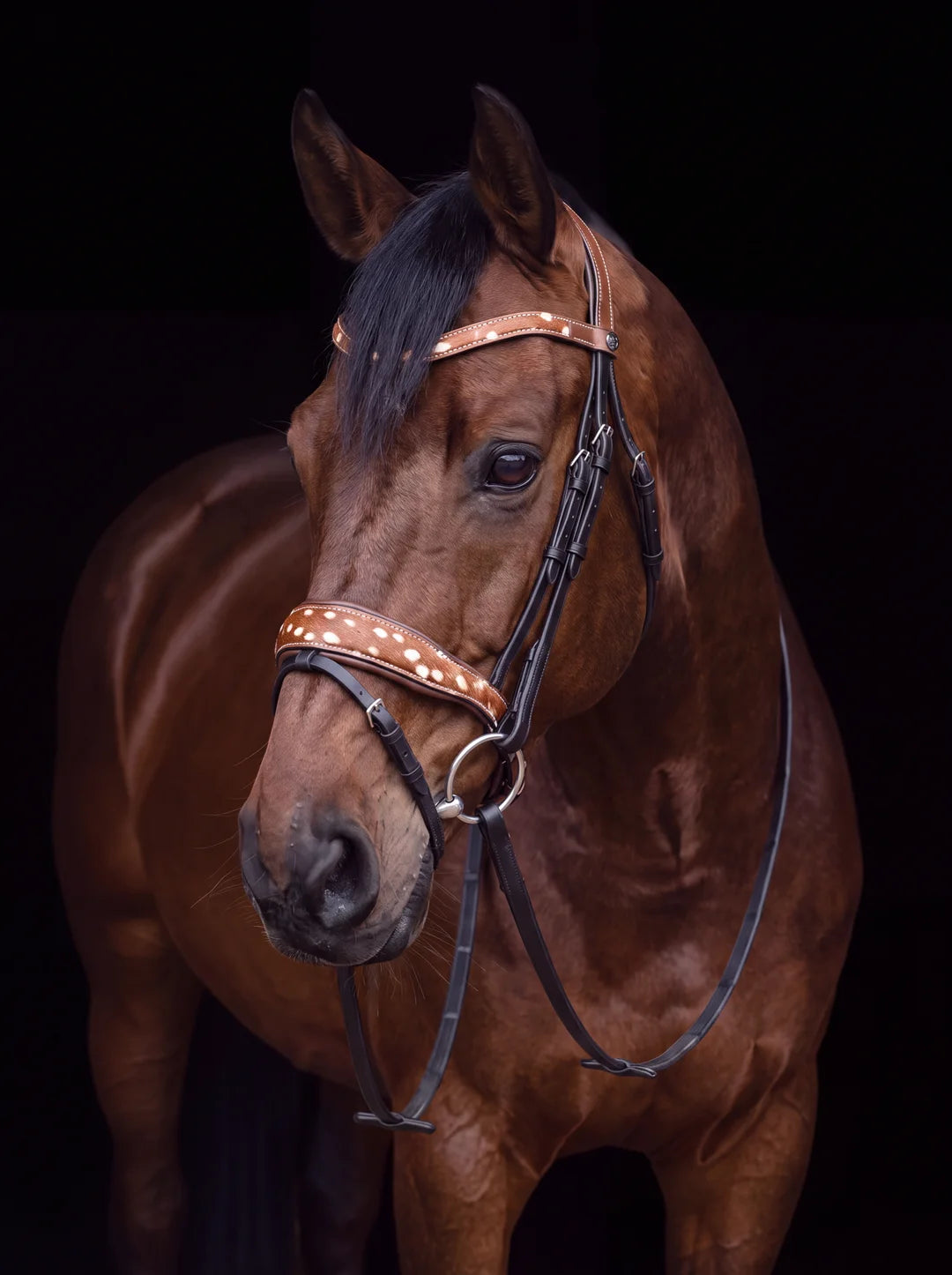 Deer-Print-Trense von CR Harmonyequestrian mit hellem Rehkitzmuster an einem braunen Pferd