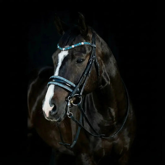 Kandare Aqua Pearl CR-Harmonyequestrian