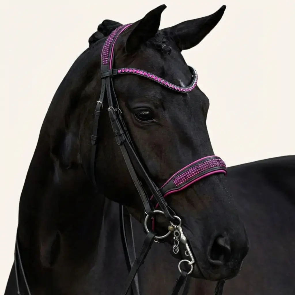 Kandare Celestia XFull CR-Harmonyequestrian