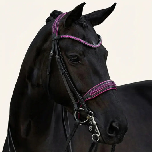 Kandare Celestia XFull CR-Harmonyequestrian