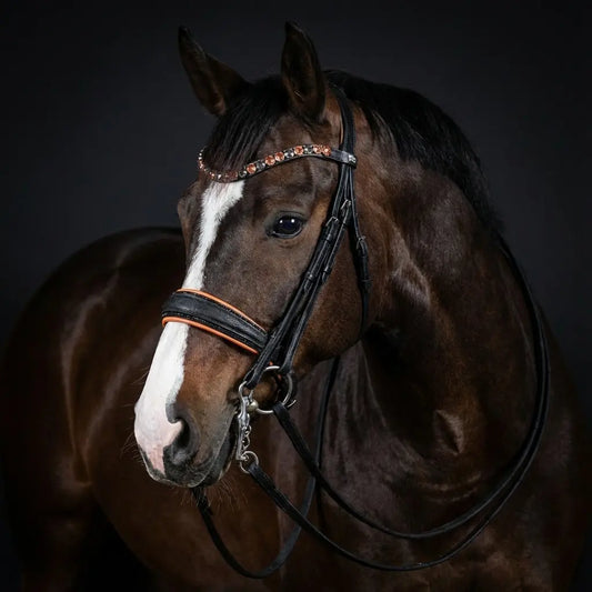 Kandare Flower Peach CR-Harmonyequestrian