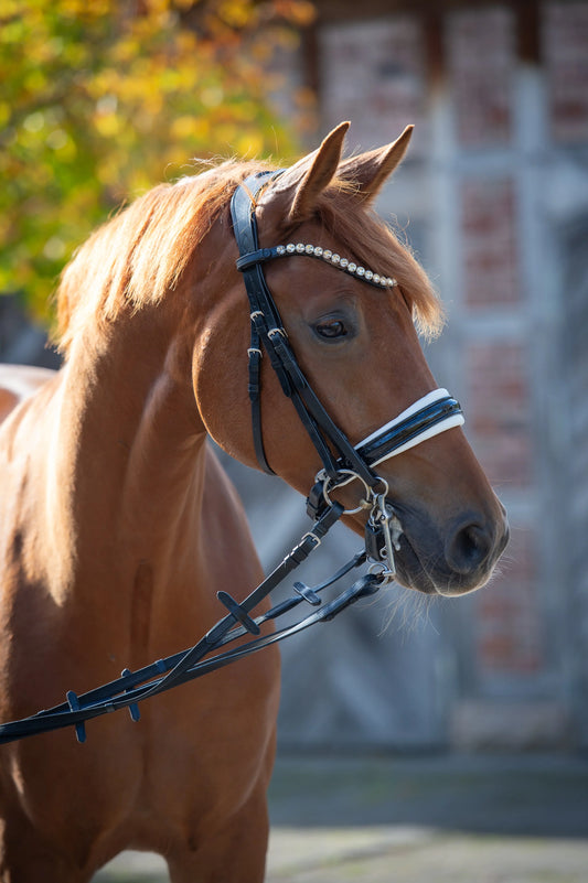 Kandare Sparkle glitzernder Lack, weiß oder schwarz unterlegt CR-Harmonyequestrian