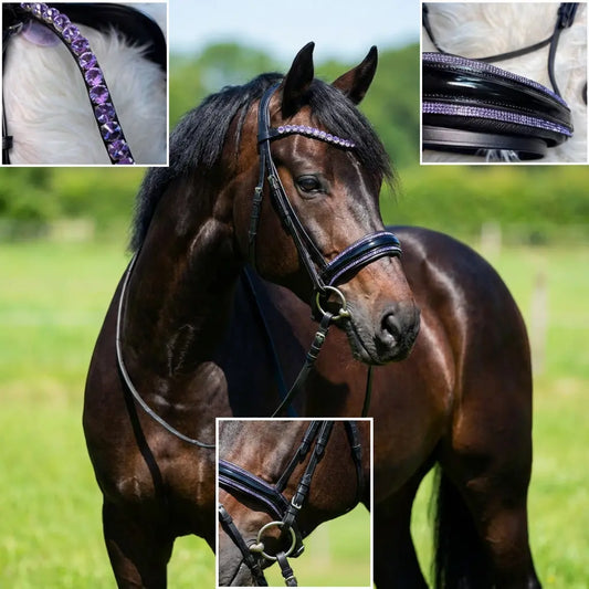 Kristall-Trense "Purple Elegance" CR-Harmonyequestrian