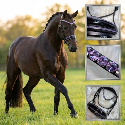 Kristall-Trense "Purple Elegance" - CR-Harmonyequestrian