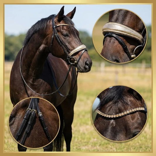 Kroko Gold Trense VB CR-Harmonyequestrian