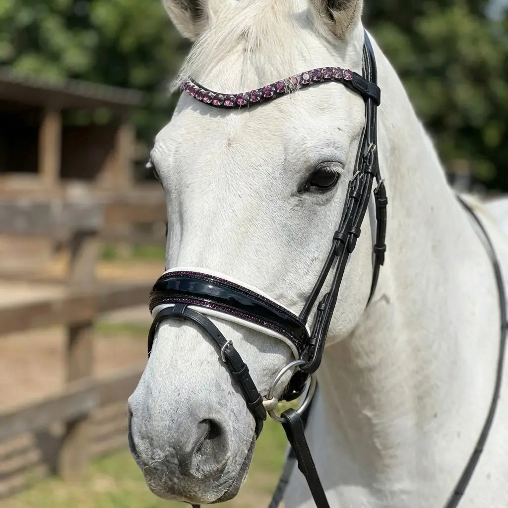 Lacktrense mit purple Crystals WB CR-Harmonyequestrian