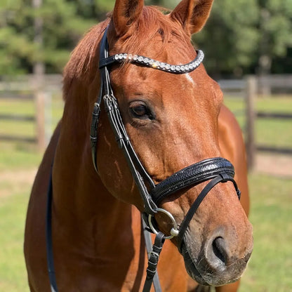 Lizard Black Ponytrense CR-Harmonyequestrian