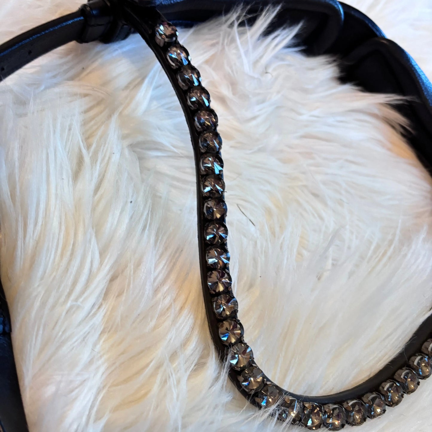 Midnight Supreme Black CR-Harmonyequestrian