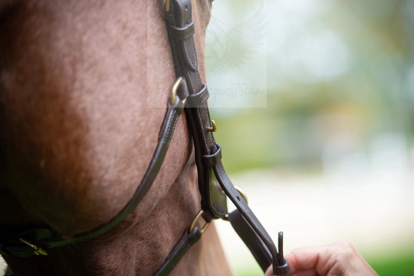 Midnight Supreme - CR-Harmonyequestrian Geflochtene Trense 240.00 