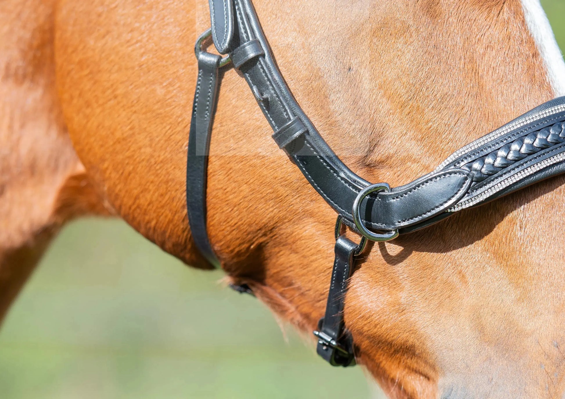 Midnight Supreme - CR-Harmonyequestrian Geflochtene Trense 240.00 