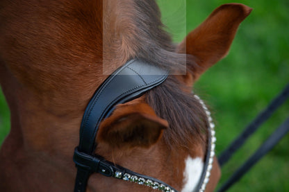 Midnight Supreme - CR-Harmonyequestrian Geflochtene Trense 240.00 