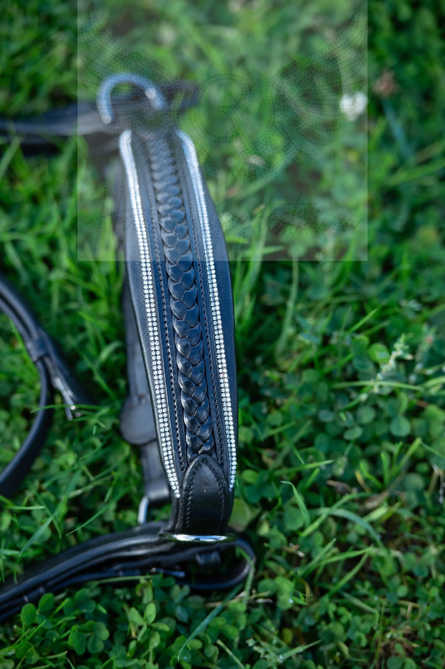 Midnight Supreme - CR-Harmonyequestrian Geflochtene Trense 240.00 