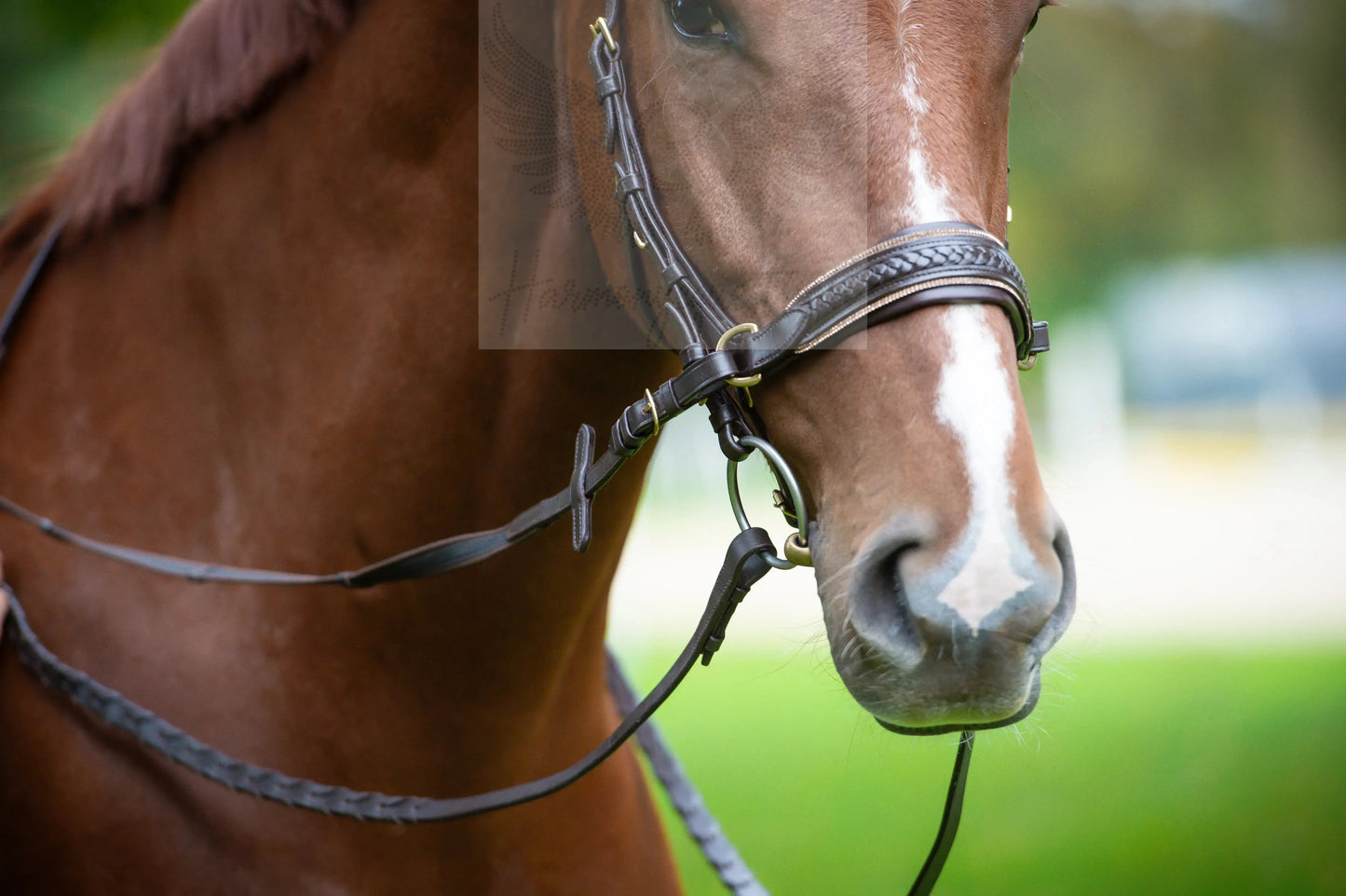 Midnight Supreme - CR-Harmonyequestrian Geflochtene Trense 240.00 