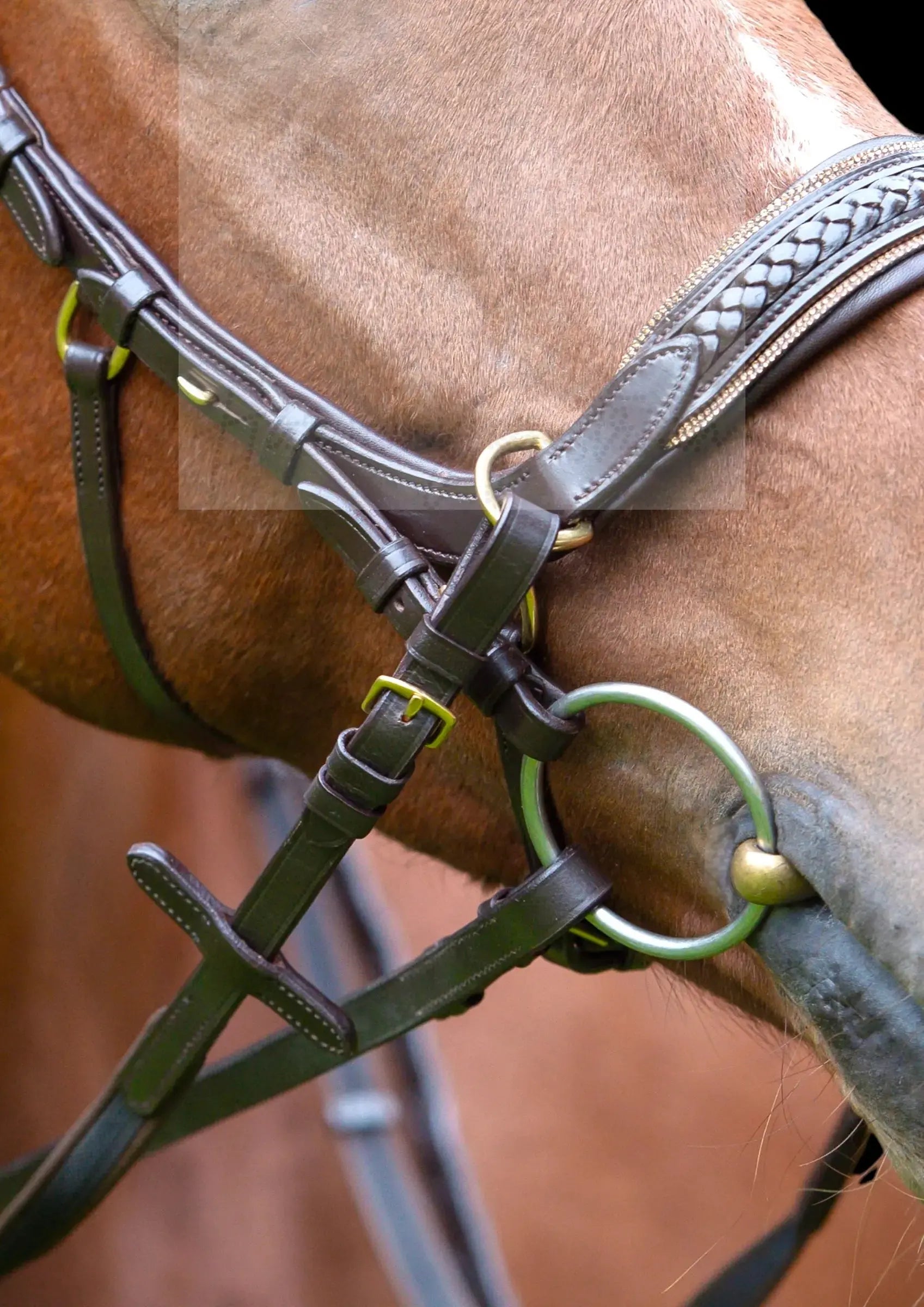 Midnight Supreme - CR-Harmonyequestrian flelettet trense 240.00 