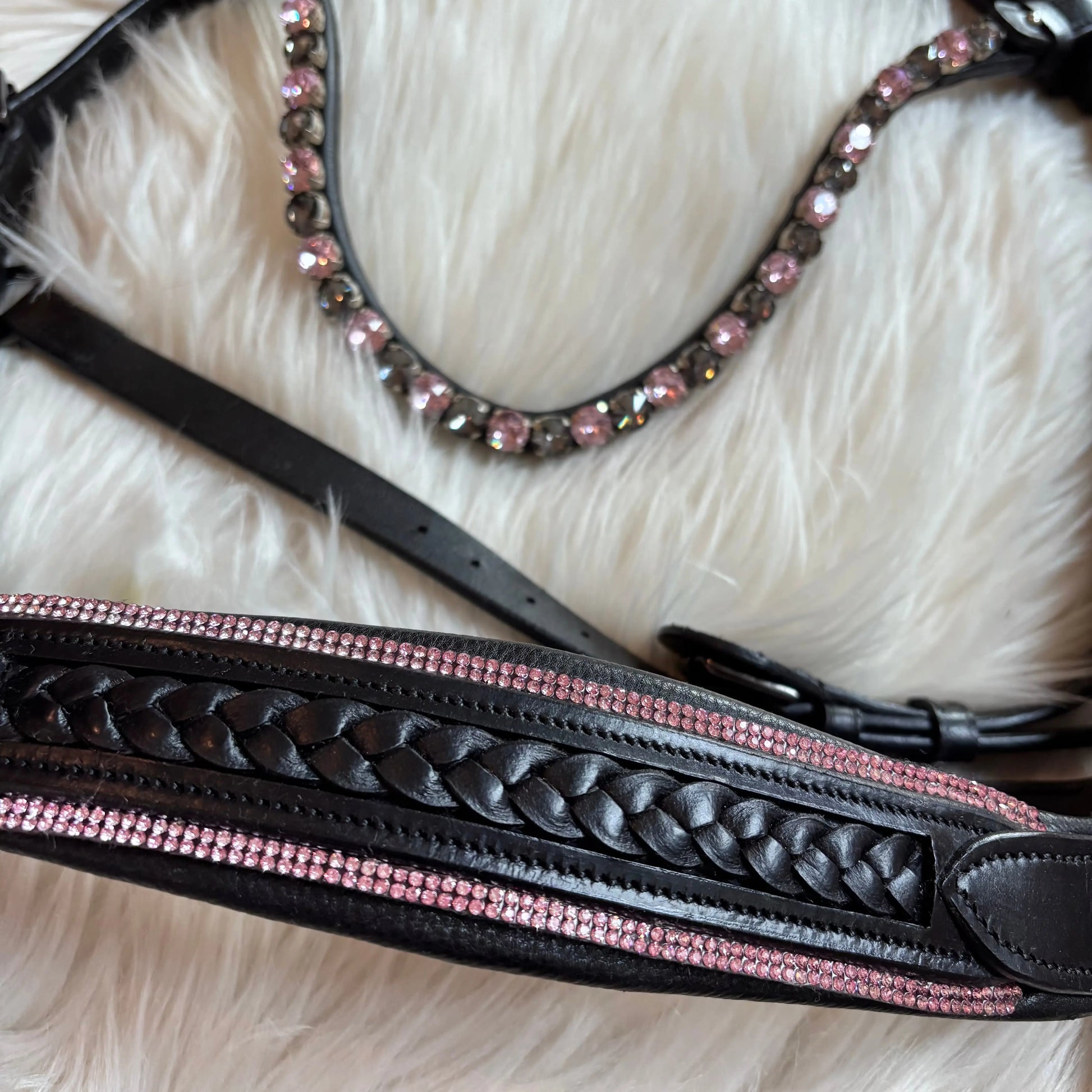 Midnight Supreme Crystal CR-Harmonyequestrian