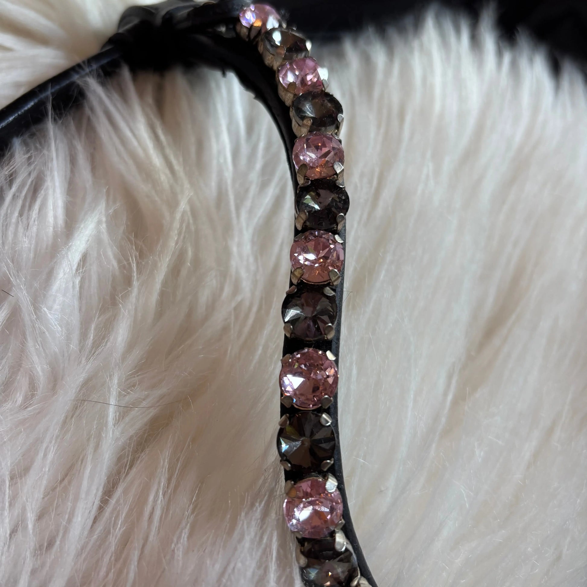 Midnight Supreme Crystal CR-Harmonyequestrian