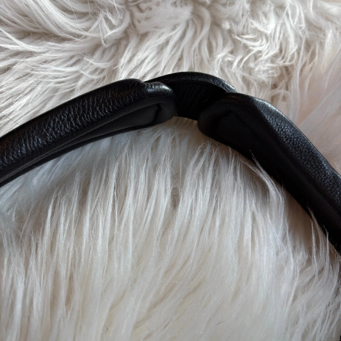 Midnight Supreme Crystal CR-Harmonyequestrian