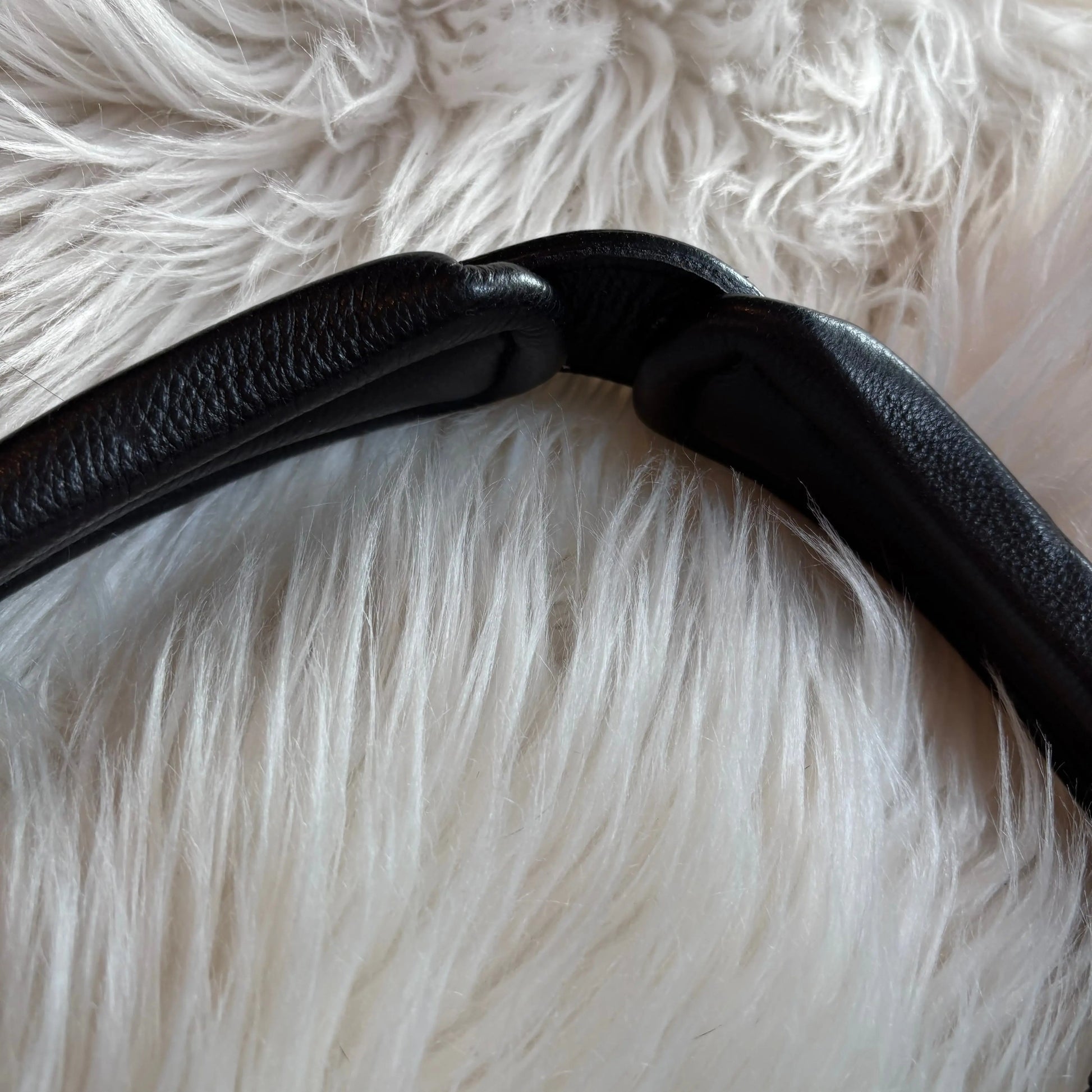 Midnight Supreme Crystal CR-Harmonyequestrian