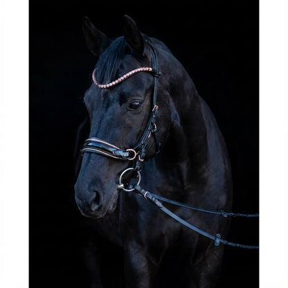 Midnight Supreme - Roségold Edition CR-Harmonyequestrian