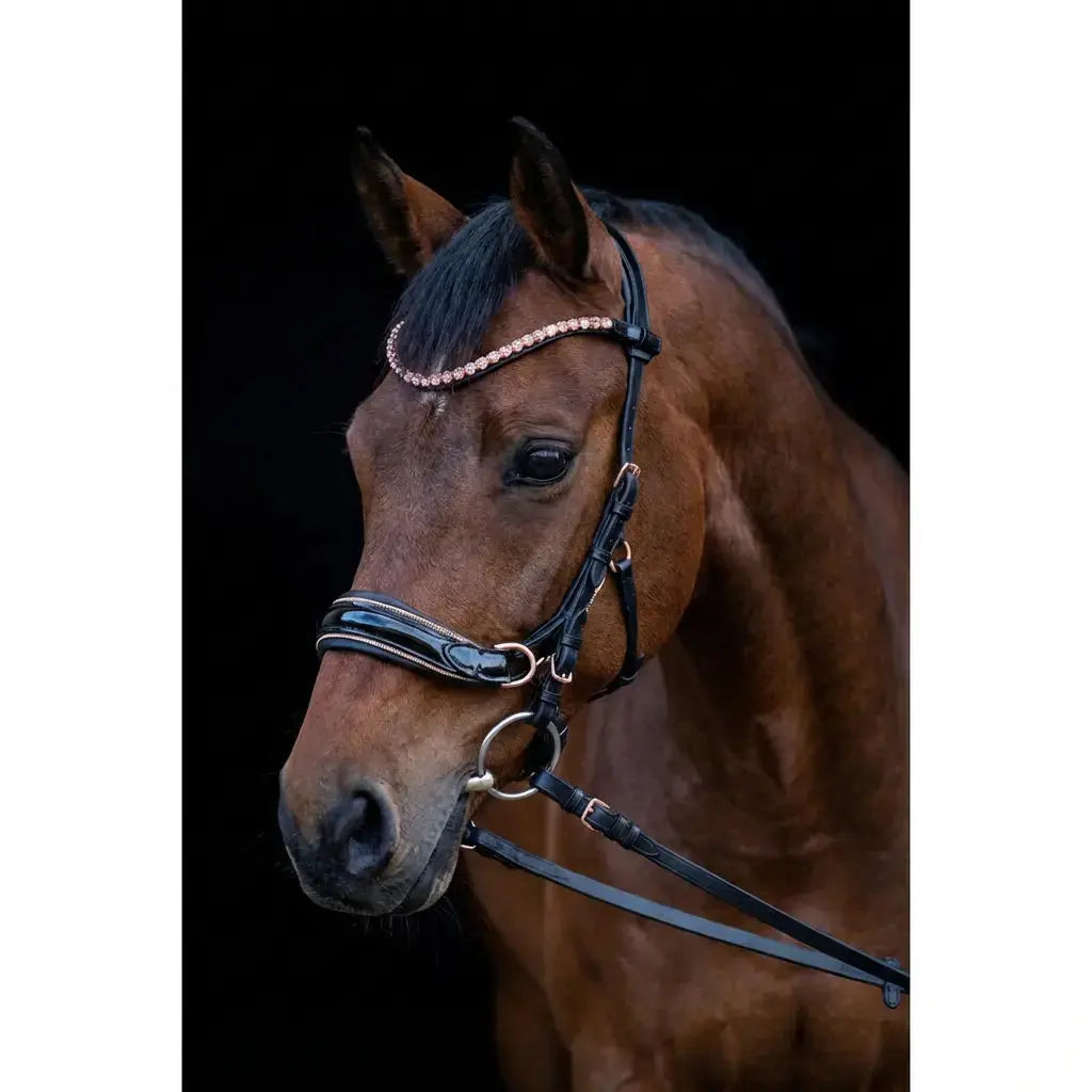 Midnight Supreme - Roségold Edition CR-Harmonyequestrian