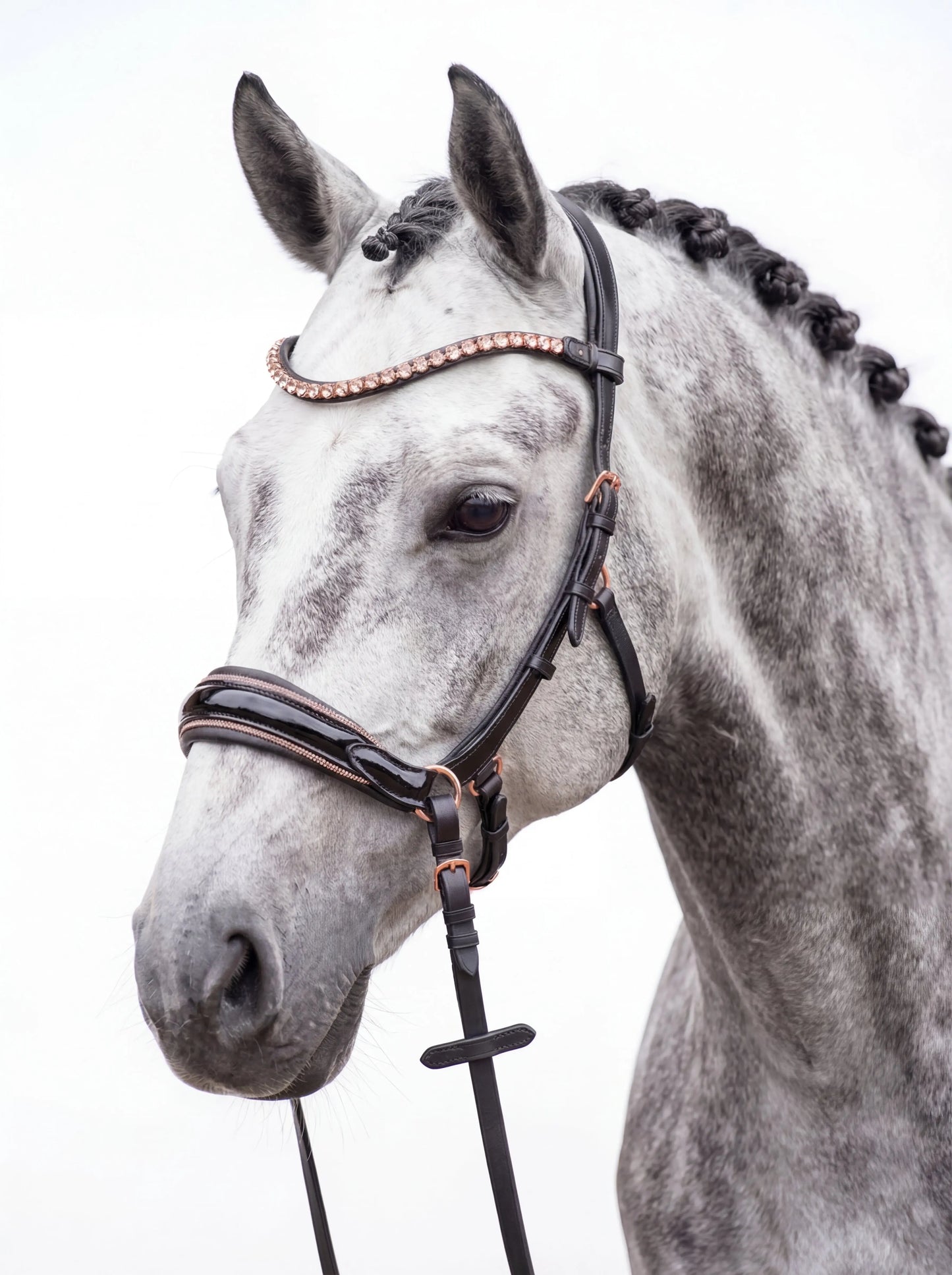 Midnight Supreme - Roségold Edition CR-Harmonyequestrian 