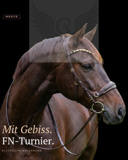 Midnight Supreme anatomische Trense geflochtenes Leder Detail Genickstück