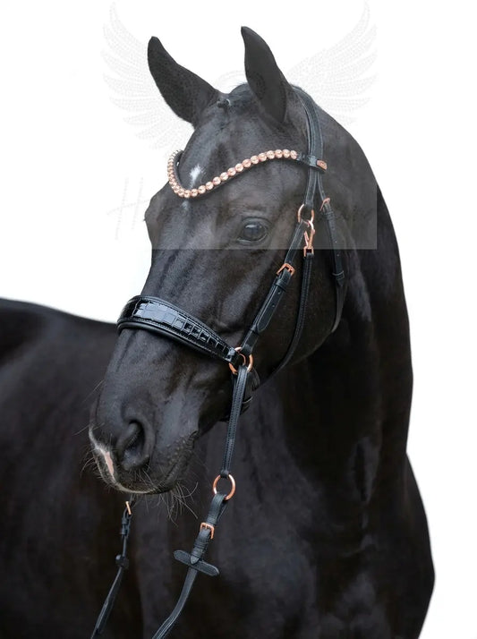 NEW PRODUCT LAUNCH Kroko Edition CR Harmonybridle - gebisslose Trense für Pferde - Ansicht 1