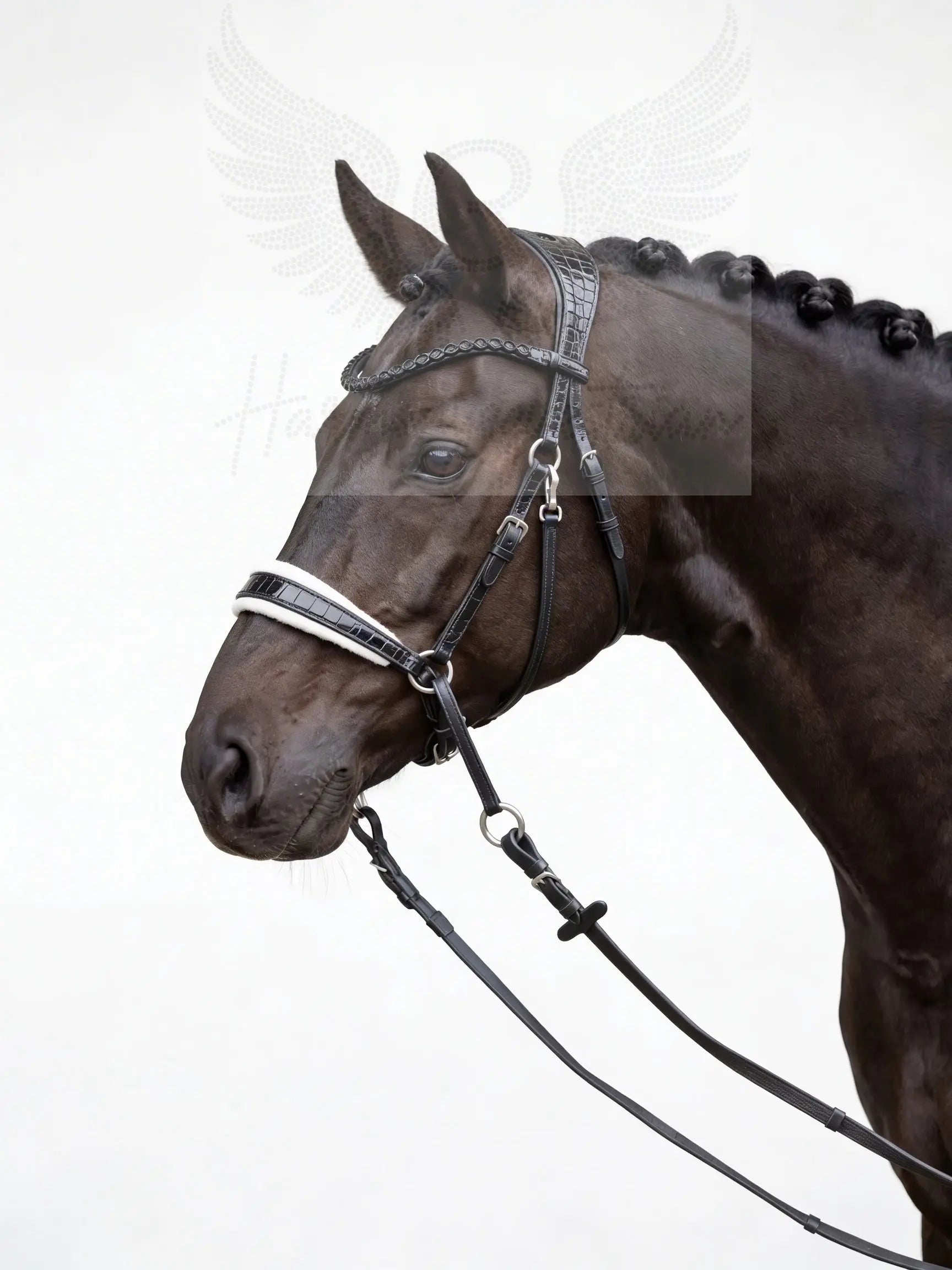 NEW PRODUCT LAUNCH Kroko Edition CR Harmonybridle - gebisslose Trense für Pferde - Ansicht 5