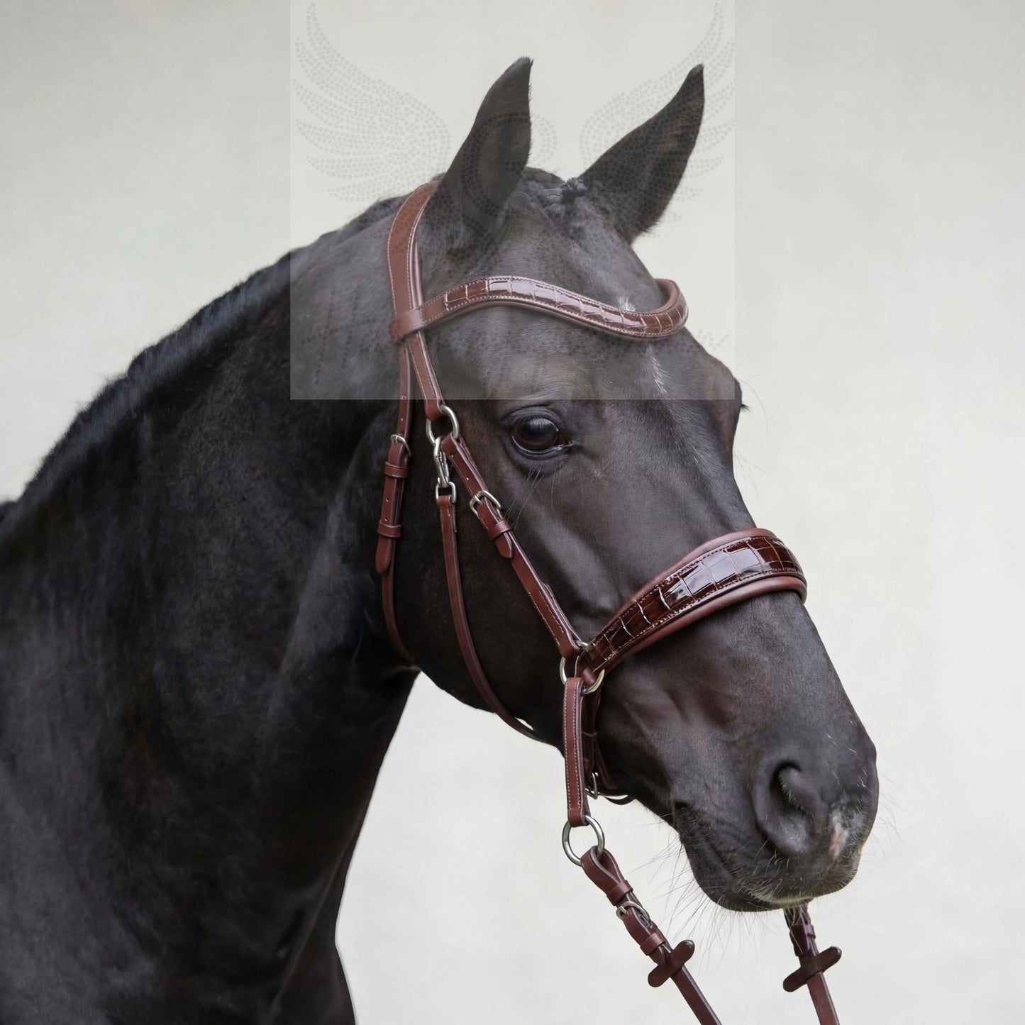 NEW PRODUCT LAUNCH Kroko Edition CR Harmonybridle - gebisslose Trense für Pferde - Ansicht 6