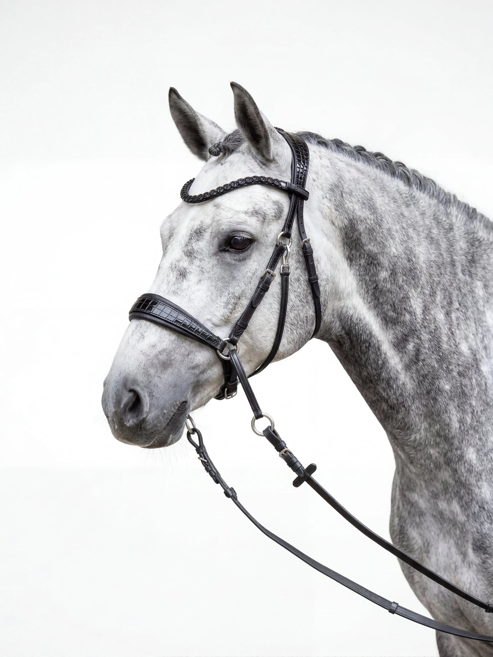 NEW PRODUCT LAUNCH Kroko Edition CR Harmonybridle - gebisslose Trense für Pferde - Ansicht 4