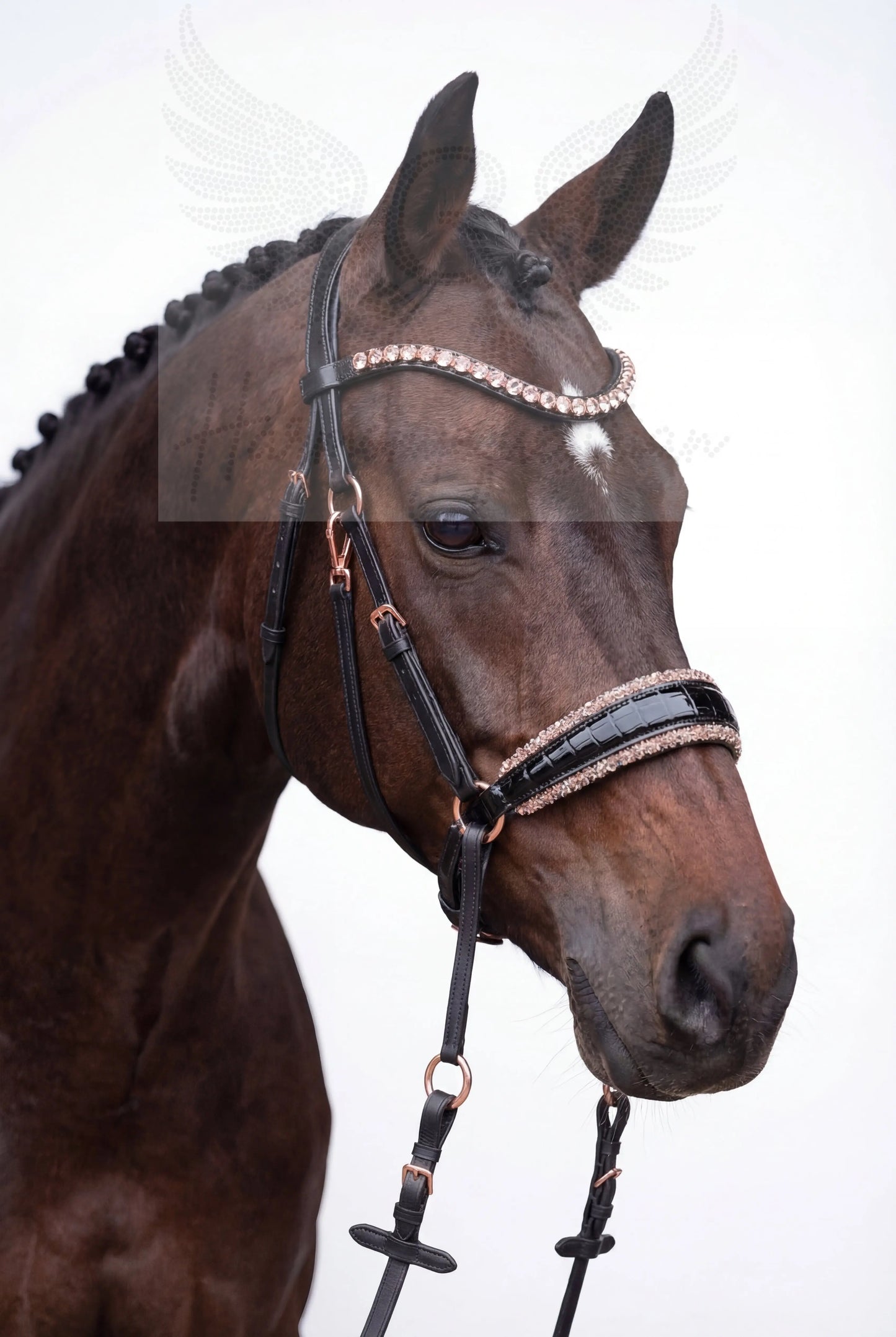 NEW PRODUCT LAUNCH Kroko Edition CR Harmonybridle - gebisslose Trense für Pferde - Ansicht 11